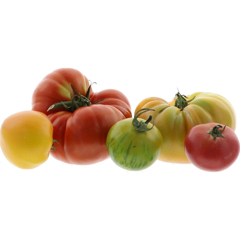 BIO TOMATE ANCIENNE MIXTE 10X500G